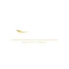Luxury Cab